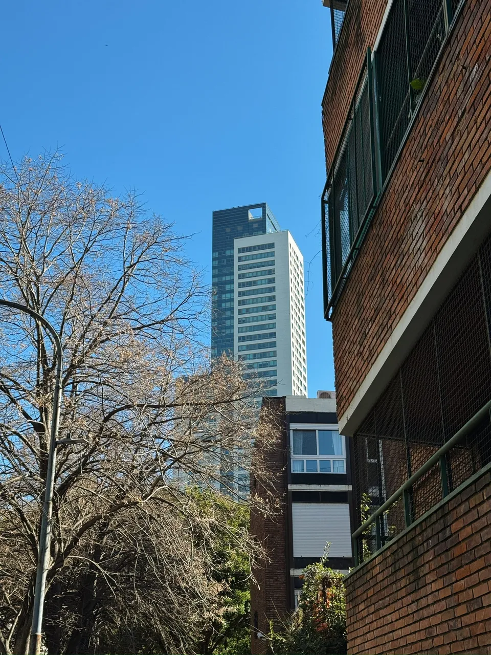 Torre de vidrio asomando entre un edificio de ladrillo y los árboles del contrafrente