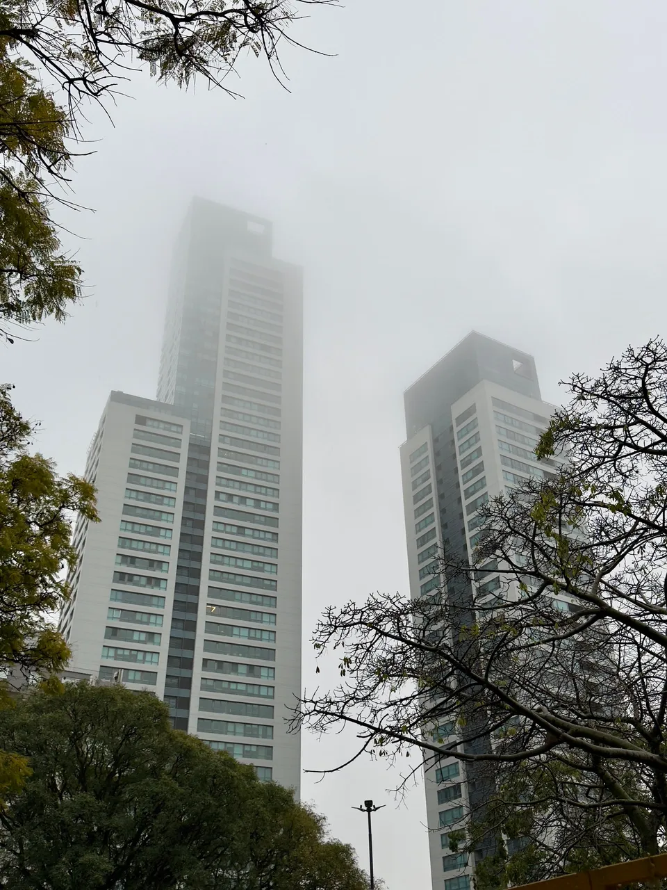 Portada del siguiente álbum: Niebla sobre las torres