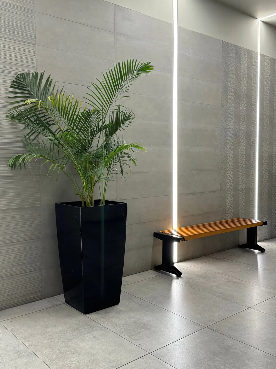 Hall de acceso con una palmera en maceta negra, un banco de madera y una línea de luz vertical en la pared
